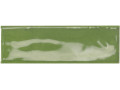 Monopole Artisan Green Чехов