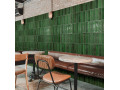 Monopole Martinica Green Чехов