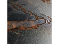 Primavera Golden Black Grit Granula 60x120 см Чехов