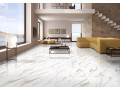 Primavera Ayton Brown Polished 60x60 см (PR128) Чехов