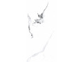 Primavera Videl Bianco Sugar 60x120 см (SR204) Чехов