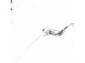 Primavera Videl Bianco Sugar 60x60 см (SR104) Чехов