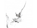 Primavera Videl Bianco Sugar 60x60 см (SR104) Чехов